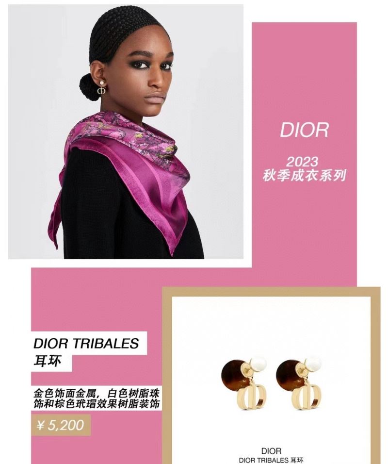 Christian Dior Earrings